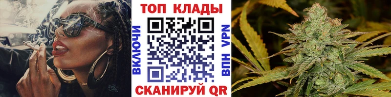 Псилоцибиновые грибы Губкинский