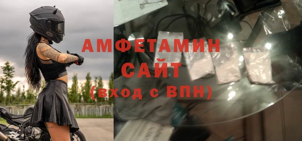 прущие грибы Магас