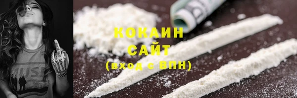 прущие грибы Магас