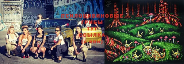 ПСИЛОЦИБИНОВЫЕ ГРИБЫ Магадан