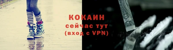 сатива Великий Новгород