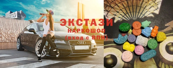 гидра Братск