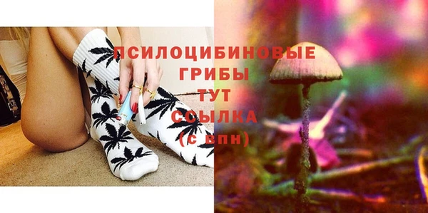прущие грибы Магас