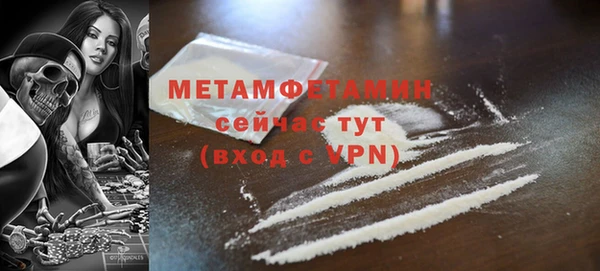 прущие грибы Магас