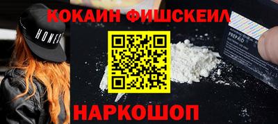 стаф Гатчина