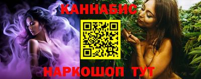 стаф Гатчина