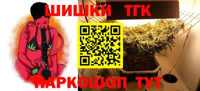 стаф Гатчина
