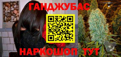 стаф Гатчина