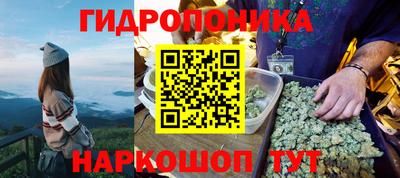 таблы Гатчина