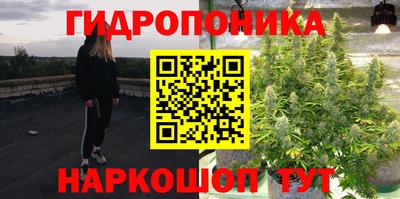 таблы Гатчина