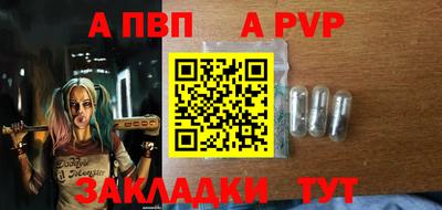 стаф Гатчина