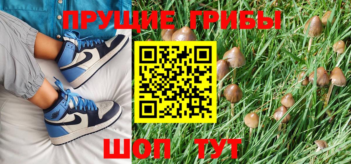 Alpha PVP СОЛЬ кристаллы  Губкинский  МЕФ кристаллы  Меф МЯУ МЯУ   Гашиш  МЕТАДОН  ГАШИШ  COCAIN  Кетамин 