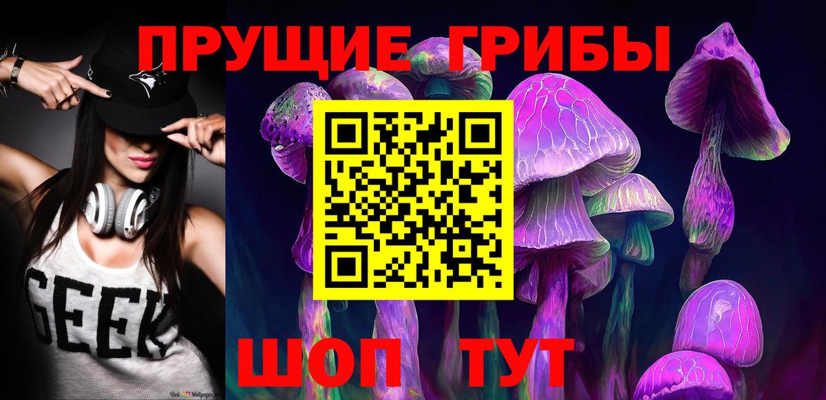 Псилоцибиновые грибы Psilocybe Губкинский