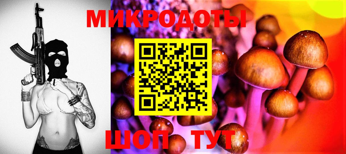 Губкинский  Галлюциногенные грибы ЛСД  Вход с VPN 