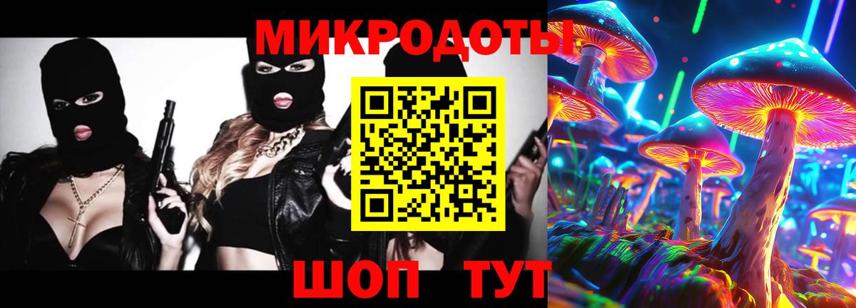 Псилоцибиновые грибы мухоморы Губкинский